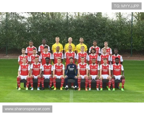 切尔西核心球员尚未确立,球队战术体系稳定性面临考验 切尔西核心球员尚未确立,球队战术体系稳定性面临考验